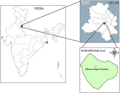 Assessing vegetation indices and productivity across nitrogen gradients: a comparative study under transplanted and direct-seeded rice